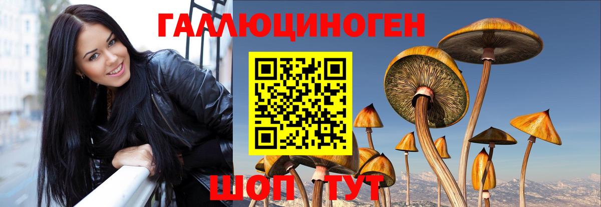 Галлюциногенные грибы мицелий  Вход с VPN  Керчь 